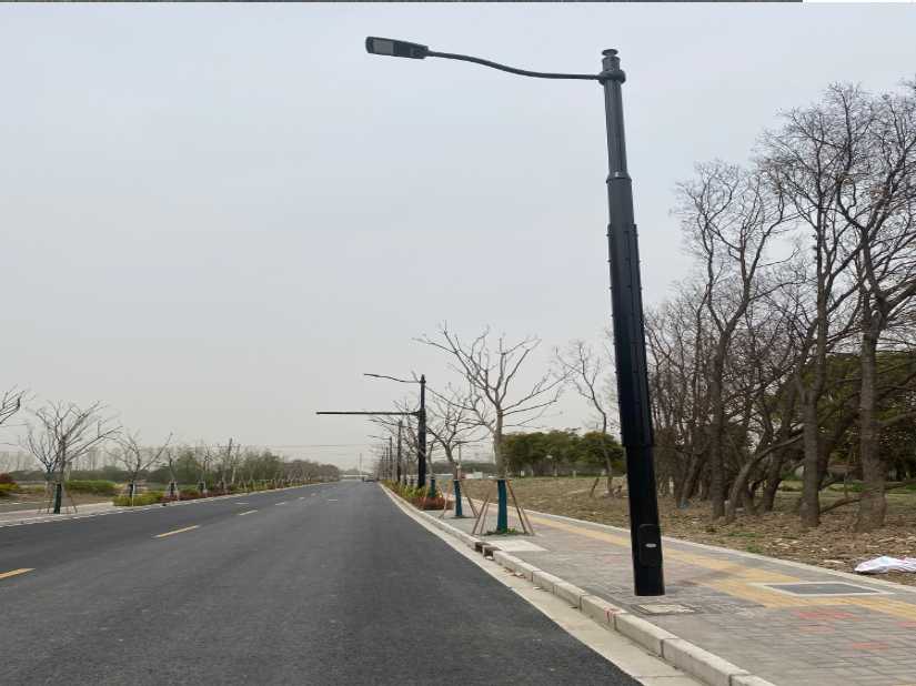 拉孜县上海综合杆 太阳能路灯工程